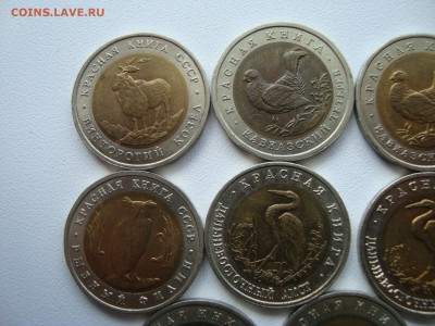 красная книга 11 шт + раненый фламинго - DSC02478.JPG