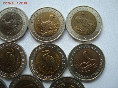 красная книга 11 шт + раненый фламинго - DSC02479.JPG