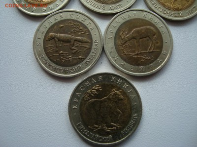 красная книга 11 шт + раненый фламинго - DSC02480.JPG