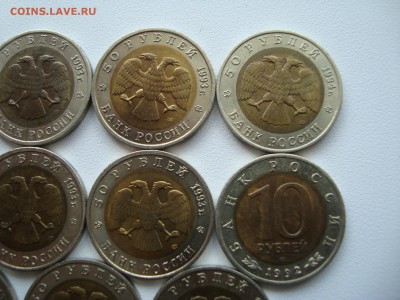 красная книга 11 шт + раненый фламинго - DSC02483.JPG