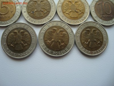 красная книга 11 шт + раненый фламинго - DSC02484.JPG