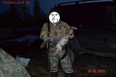 Всем мои поздравления. Рублю - похоже, кирдык! - 7.JPG