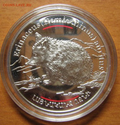 Куплю монету Армении 100 драм серебро,изображение ежа 2006 г - IMG_7704.JPG