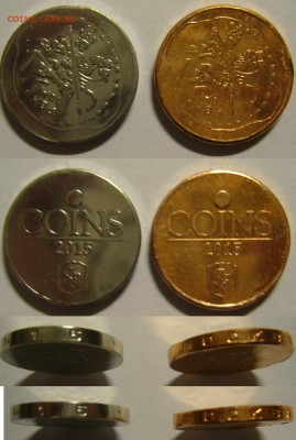 COINS-2015 - P1170379.JPG