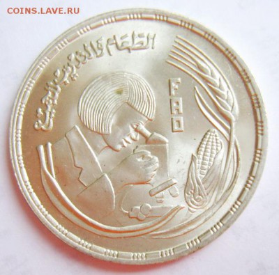 1 фунт ЕГИПЕТ FAO 1978г UNC (серебро) до 30.06.15г - S8302058_новый размер_exposure.JPG