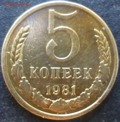 5 копеек 1981г - бд3