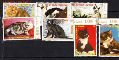 марки Гвинея Экв кошки - 58