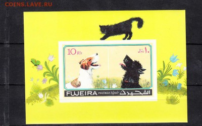Фуджейра блок кошки собаки 1971г - 59