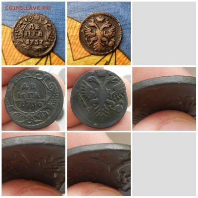денга 1730-1737 ( 8 монет из коллекции) Красивые - цена фикс - colцвцlage