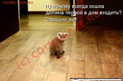 юмор - kotomatrix_01