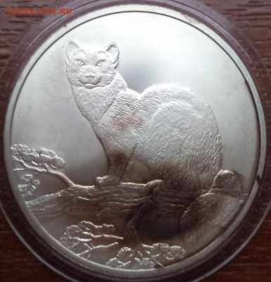 3 рубля 1995 года ММД Соболь, до 05.07.2015  23-00 - DSC02513.JPG