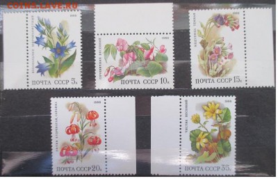 СССР 1988. Цветы широколиственных лесов* - 94а.JPG