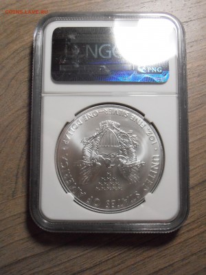 1 доллар США 2014, Свобода в слабе NGC, BU,  до 06.07.2015 - P1010303.JPG