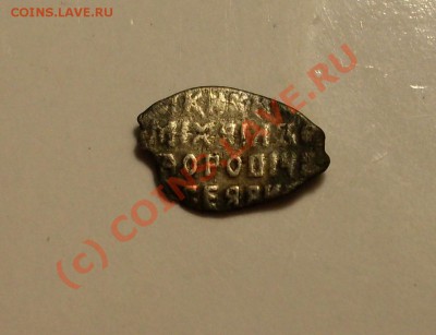 чешуйка - SDC12825.JPG