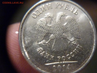 9 полных расколов и червяк до 5.07.15г 23-00мск - P1170107.JPG