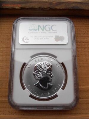 5 $ 2014, Канада, Белоголовый орлан, NGC, BU, до 06.07.2015 - P1010355.JPG