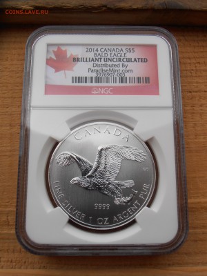 5 $ 2014, Канада, Белоголовый орлан, NGC, BU, до 06.07.2015 - P1010354.JPG
