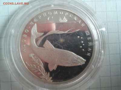 2р. Азово-Черноморская шемая  до 06.07.15 22-00 мск - 20150701_105652