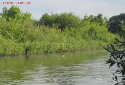 ФОТО - просто фото. Те что получились удачными. - IMG_4097