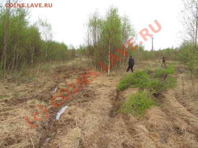 ФОТО - просто фото. Те что получились удачными. - 002