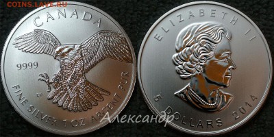 Зарубежное инвестиционное серебро - Falcon_2014_1