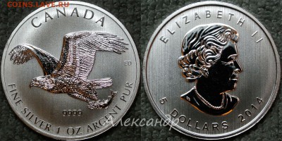 Зарубежное инвестиционное серебро - Bald_Eagle_2014_1