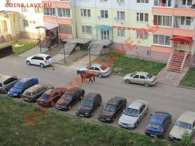 Вид из окна - 12345