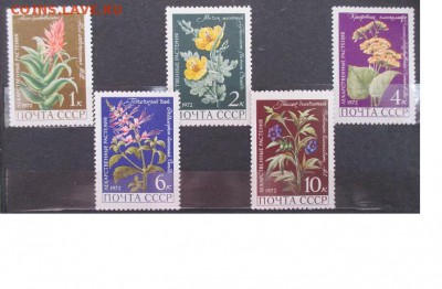 СССР 1972. Лекарственные растения* - 33.JPG