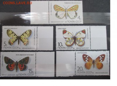 СССР 1986. Красная Книга. Бабочки * - 34.JPG