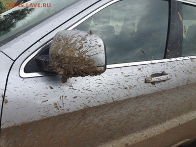 События на Украине. - IMG_6279_1