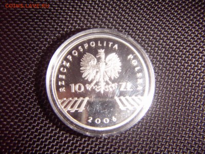 10 злот 2006 серебро 0,9250 Серебро 05.07 22:00 - PICT0815.JPG