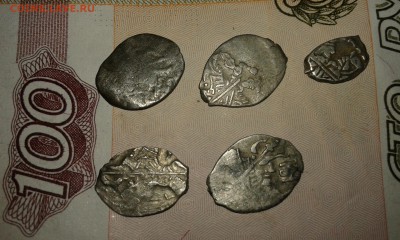 пять чешуек на опознание и оценку. - 20150703_235259