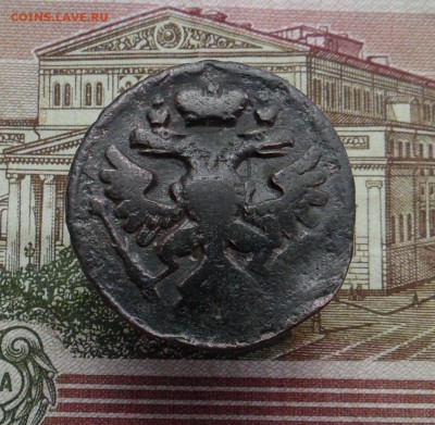 денга 1738 года - SAM_1875_croped.JPG