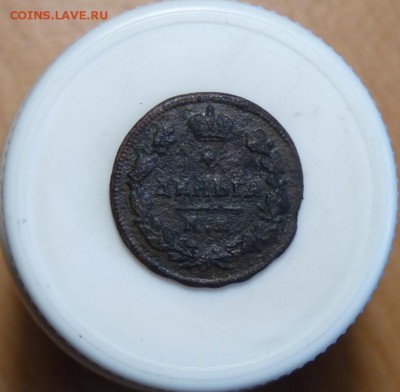 Деньга 1813 км ам + тень деньги 1811км пб до 7.06 - P1100946.JPG