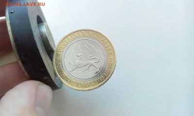 Осетия магнитная мешковая в капсуле - IMG_20150704_135841
