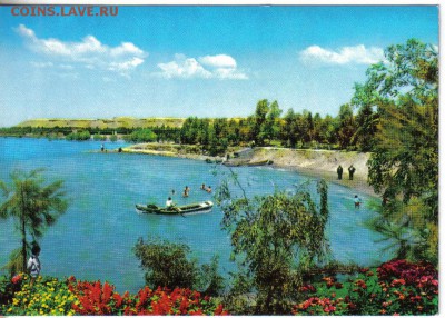 Открытка Ирак Багдад до 7.07 22.00мск - Открытка Ирак Багдад