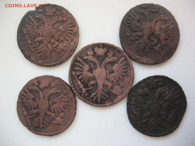 Денга 1731 - 1734 5 шт. - IMG_1551.JPG