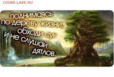Арсен!ПОДМЕНА дорогой посылки в Транспортной компании ИЛИ??? - image (4)