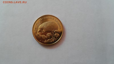 Польша 2 злотых 1996 г. - Ёж до 08.07.2015 г. - 20150704_165731