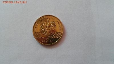 Польша 2 злотых 1999 г. - Волк до 08.07.2015 г. - 20150704_165953