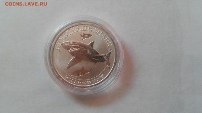 Австралия - 50 центов 2014 г. Акула до 08.07.2015 г. - 20150704_170340