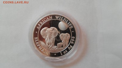 Сомали - 100 шиллингов 2014 г. Слоны до 08.07.2015 г. - 20150704_170853
