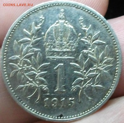 1Kк Австриря 1915 до 09.07.15 - DSCF2046.JPG