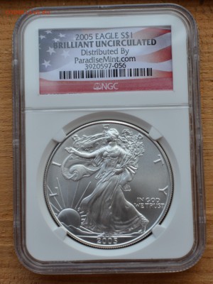 1 доллар США 2005, Свобода в слабе NGC, BU,  до 06.07.2015 - DSC_1506.JPG