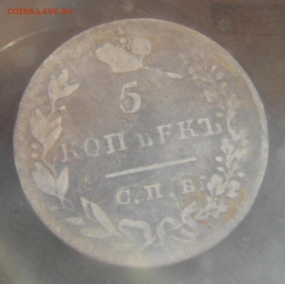 5 копеек 1830г. СПБ нг (крылья вниз) до 09.07.15 22.00 мск - IMGP7088.JPG