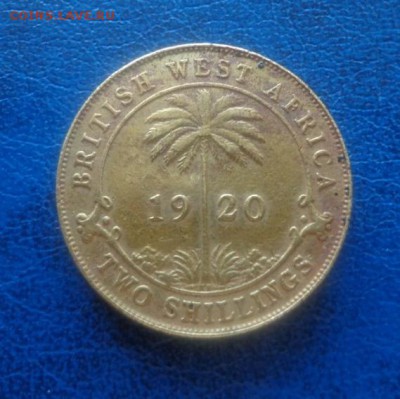 Британская Западная Африка 2 шиллинга 1920 до 9.07. - DSC01106.JPG