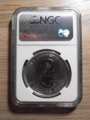 5 $ 2014, Канада, Белоголовый орлан, NGC, BU, до 07.07.2015 - P1010444.JPG