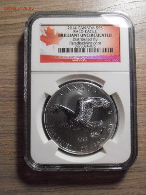 5 $ 2014, Канада, Белоголовый орлан, NGC, BU, до 07.07.2015 - P1010443.JPG