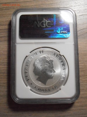 1 доллар Австралия, крокодил, NGC, BU, до 07.07.2015 - P1010446.JPG