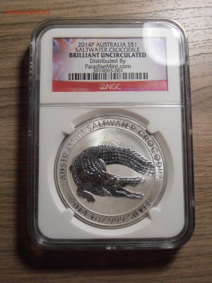 1 доллар Австралия, крокодил, NGC, BU, до 07.07.2015 - P1010445.JPG